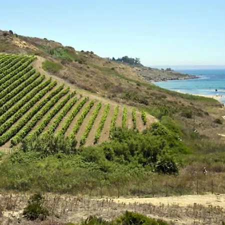 Apartmán Cortile 5 *